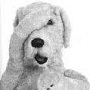 Gregory Avatar
